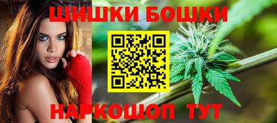индика Ливны